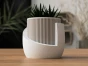 2025-04-09_39828c9e8b45d8.png.webp