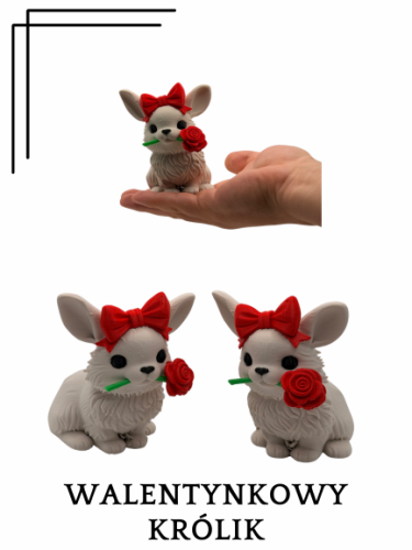 13.png