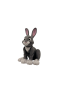 13.png
