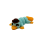 29.png